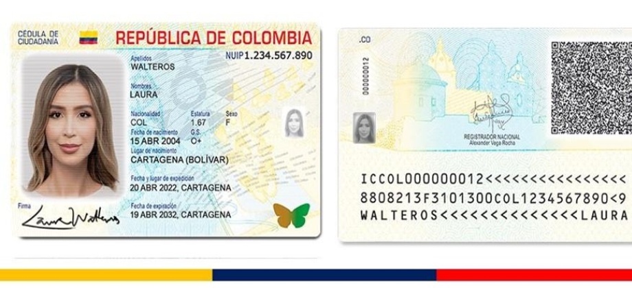 Cédula y Tarjeta de Identidad