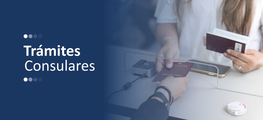 Sistema de atención durante la semana del 4 al 8 de agosto de 2025